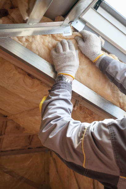 Best Cellulose Insulation  in Darien, GA