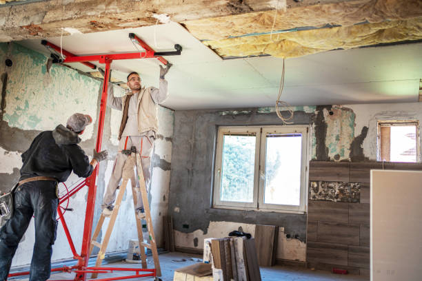 Best Commercial Insulation Contractor  in Darien, GA