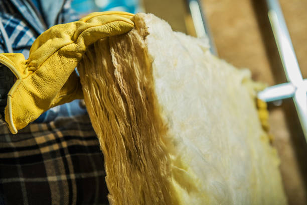Best Attic Insulation Installation  in Darien, GA