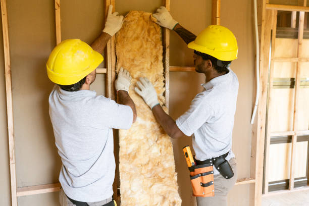 Best Professional Insulation Contractor  in Darien, GA