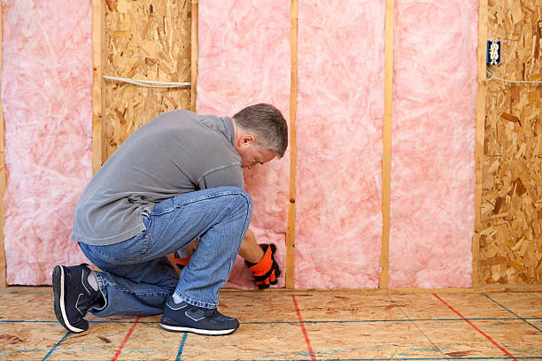 Best Affordable Insulation Services  in Darien, GA