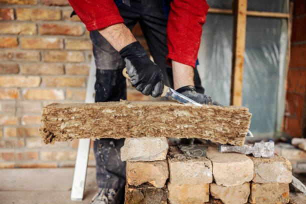 Best Attic Insulation Installation  in Darien, GA