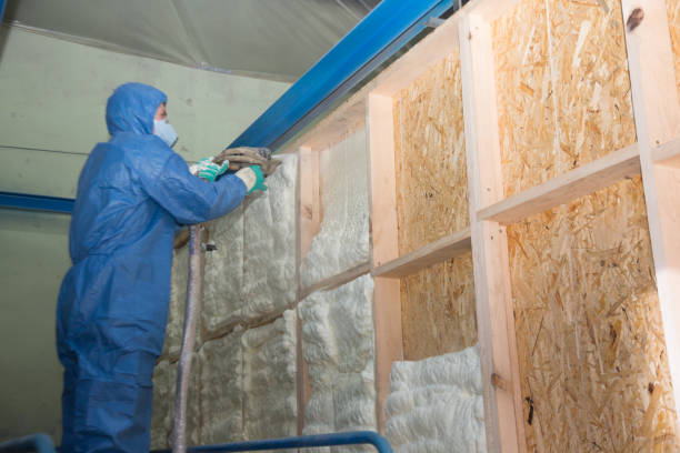 Best Insulation Removal  in Darien, GA