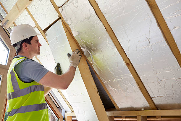 Best Insulation Contractors for Homes  in Darien, GA