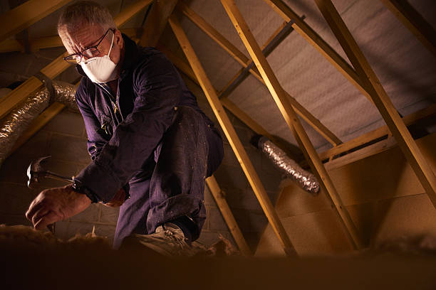 Best Blown-in Insulation  in Darien, GA